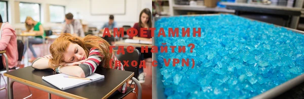 мет Алексин