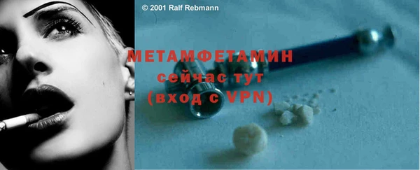 мет Алексин