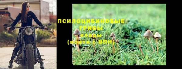 мет Алексин
