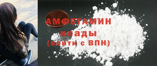 мет Алексин