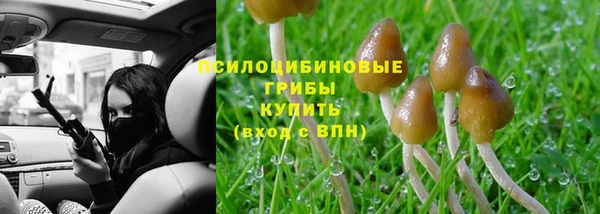 мет Алексин