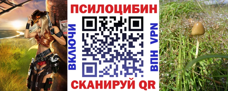 Галлюциногенные грибы мухоморы  купить наркотик  blacksprut рабочий сайт  Перевоз 